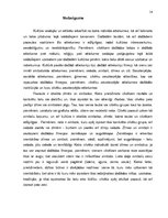 Referāts 'Estētiskās domas attīstība Grieķijas kultūrā (līdz 4.gadsimtam p.m.ē.)', 14.