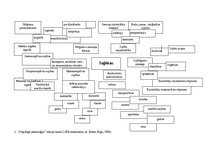 Konspekts 'Izziņas procesu domu karte. Sajūtas', 1.