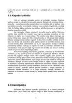 Referāts 'Pusaudža vecumposma raksturojums', 5.