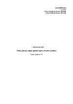 Konspekts 'Ūdens plūsma vaļējās gultnēs - upēs, strautos, kanālos', 1.