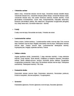 Konspekts 'Būvmašīnu firmas Latvijā', 25.