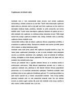 Eseja 'Uzņēmuma atrašanās vieta', 1.