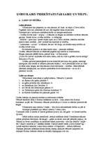 Konspekts 'Viduslaiku priekšstati par laiku un telpu', 1.