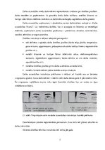 Prakses atskaite 'SIA "Logics Research Centre"', 7.