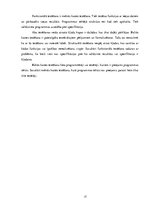 Prakses atskaite 'SIA "Logics Research Centre"', 17.