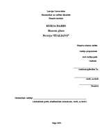 Biznesa plāns 'Biznesa plāns picērijai "Italiano"', 1.