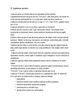 Biznesa plāns 'Biznesa plāns picērijai "Italiano"', 5.