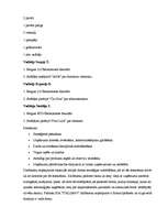 Biznesa plāns 'Biznesa plāns picērijai "Italiano"', 10.