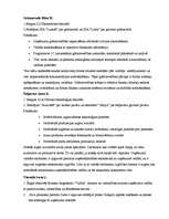 Biznesa plāns 'Biznesa plāns picērijai "Italiano"', 11.