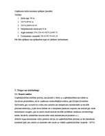 Biznesa plāns 'Biznesa plāns picērijai "Italiano"', 13.