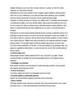 Biznesa plāns 'Biznesa plāns picērijai "Italiano"', 15.