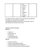 Biznesa plāns 'Biznesa plāns picērijai "Italiano"', 17.