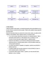 Biznesa plāns 'Biznesa plāns picērijai "Italiano"', 21.