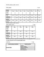 Biznesa plāns 'Biznesa plāns picērijai "Italiano"', 24.