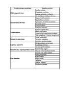 Biznesa plāns 'Biznesa plāns picērijai "Italiano"', 25.