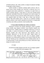 Referāts 'Starptautisko noziegumu pierādījumu tiesiskie aspekti', 19.