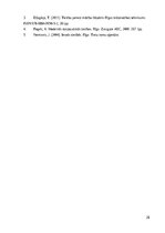 Referāts 'Starptautisko noziegumu pierādījumu tiesiskie aspekti', 28.