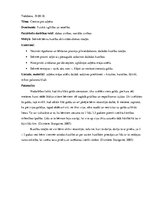 Prakses atskaite 'Kvalifikācijas prakses atskaite pirmsskolā', 4.