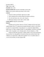 Prakses atskaite 'Kvalifikācijas prakses atskaite pirmsskolā', 5.