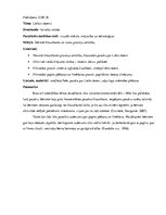 Prakses atskaite 'Kvalifikācijas prakses atskaite pirmsskolā', 6.