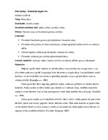 Prakses atskaite 'Kvalifikācijas prakses atskaite pirmsskolā', 7.