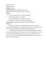 Prakses atskaite 'Kvalifikācijas prakses atskaite pirmsskolā', 9.