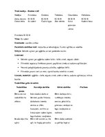 Prakses atskaite 'Kvalifikācijas prakses atskaite pirmsskolā', 11.