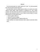 Prakses atskaite 'Prakses atskaite SIA "Lasso"', 3.