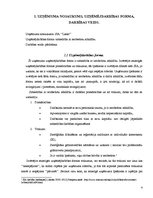 Prakses atskaite 'Prakses atskaite SIA "Lasso"', 4.