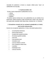 Prakses atskaite 'Prakses atskaite SIA "Lasso"', 5.