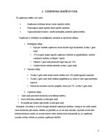 Prakses atskaite 'Prakses atskaite SIA "Lasso"', 6.