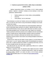 Prakses atskaite 'Prakses atskaite SIA "Lasso"', 7.