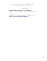 Prakses atskaite 'Prakses atskaite SIA "Lasso"', 13.