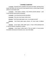 Referāts 'Latvijas Republikas veidošana 1918.gadā', 4.