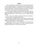 Referāts 'Latvijas Republikas veidošana 1918.gadā', 19.