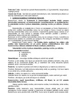 Konspekts 'Komerctiesību konspekts', 5.