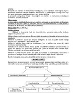 Konspekts 'Komerctiesību konspekts', 14.