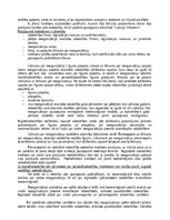 Konspekts 'Komerctiesību konspekts', 34.