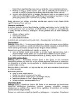 Konspekts 'Komerctiesību konspekts', 37.