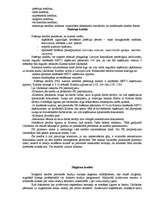 Referāts 'Kredīts', 4.