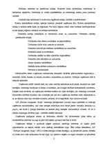 Prakses atskaite 'Reklāma un mārketings. "Baltijas Izaugsmes Grupa"', 8.