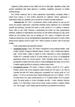 Prakses atskaite 'Reklāma un mārketings. "Baltijas Izaugsmes Grupa"', 13.