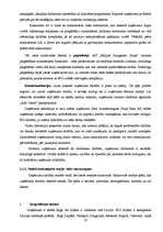 Prakses atskaite 'Reklāma un mārketings. "Baltijas Izaugsmes Grupa"', 18.