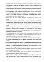 Prakses atskaite 'Reklāma un mārketings. "Baltijas Izaugsmes Grupa"', 23.