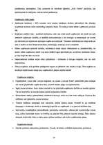 Prakses atskaite 'Reklāma un mārketings. "Baltijas Izaugsmes Grupa"', 24.