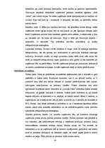 Prakses atskaite 'Reklāma un mārketings. "Baltijas Izaugsmes Grupa"', 30.