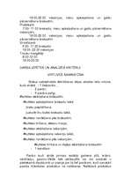 Prakses atskaite 'Prakse Grieķijā', 8.