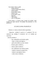 Prakses atskaite 'Prakse Grieķijā', 12.