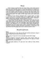 Referāts 'Senākās civilizācijas Divupē un Ēģiptē', 3.