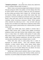 Konspekts 'Piesārņojums, tā veidi un klasifikācija', 24.